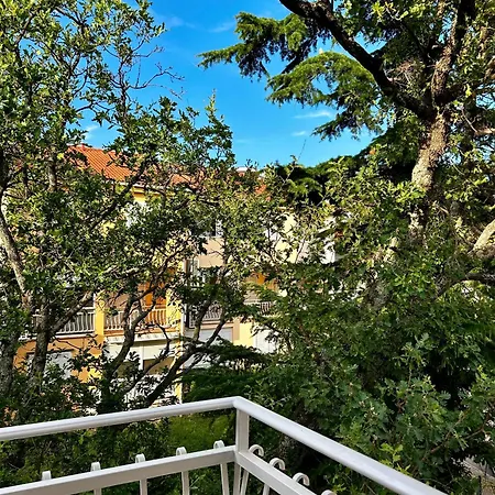 公寓 Vera 塞尔瑟